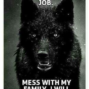 Meet your Posher, Curtis